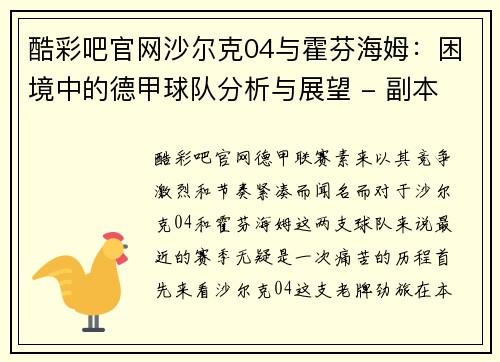 酷彩吧官网沙尔克04与霍芬海姆：困境中的德甲球队分析与展望 - 副本