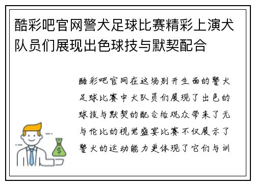 酷彩吧官网警犬足球比赛精彩上演犬队员们展现出色球技与默契配合