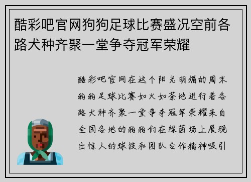 酷彩吧官网狗狗足球比赛盛况空前各路犬种齐聚一堂争夺冠军荣耀